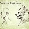 Rauða Hettan prelim wolf concept